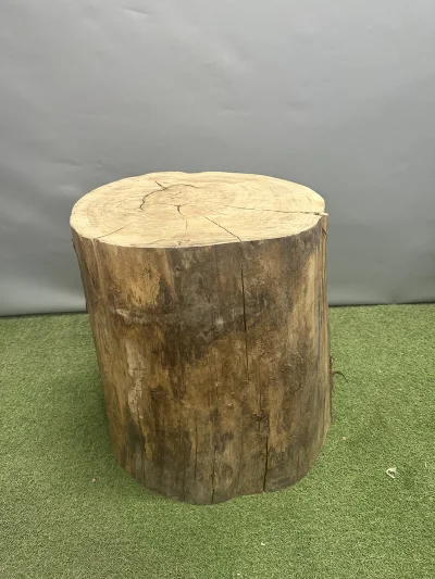 Пень карагач 