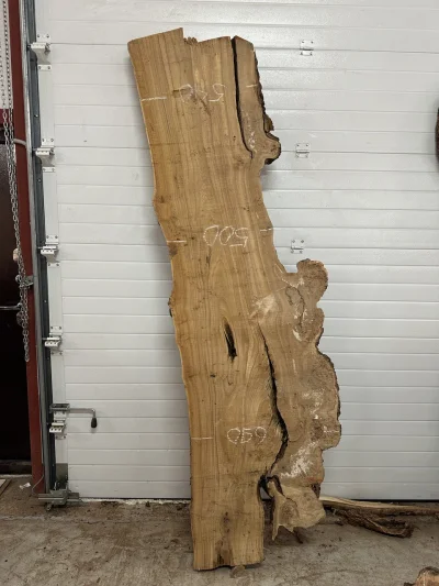 Спил карагача