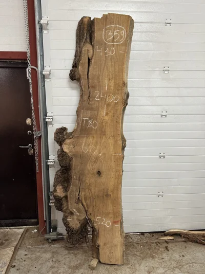 Спил карагача