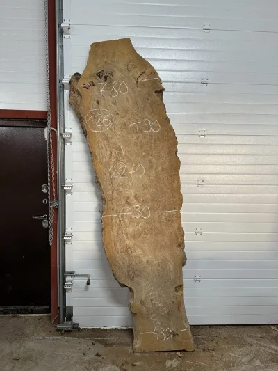 Спил карагача