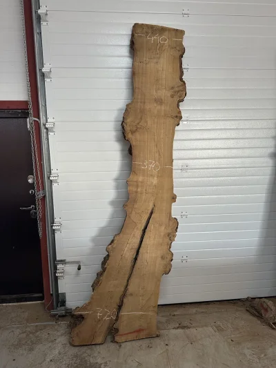 Спил карагача