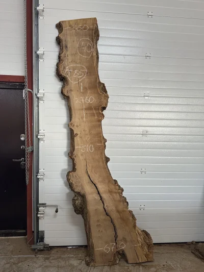 Спил карагача