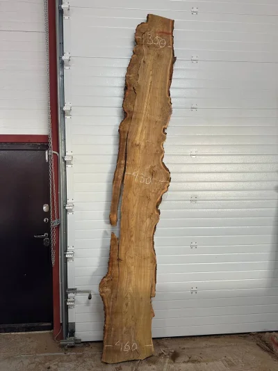 Слэб карагач 