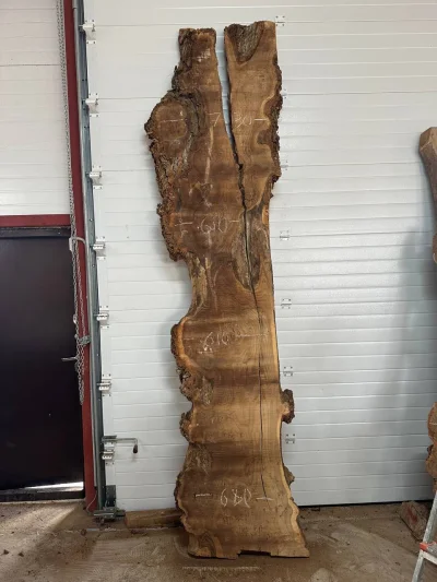 Слэб карагач