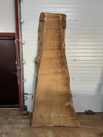 Слэб карагач