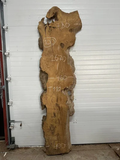 Слэб карагач