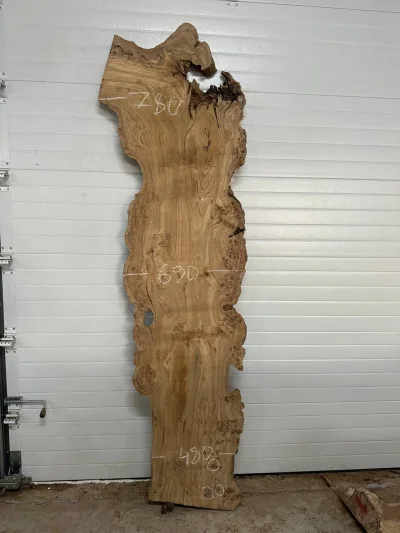 Слэб карагач