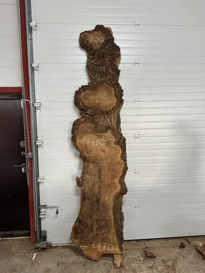 Слэб карагач