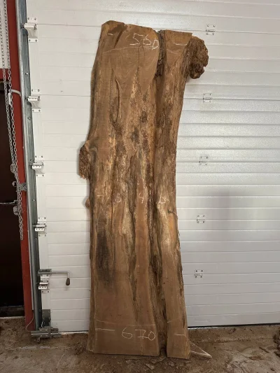 Слэб карагач