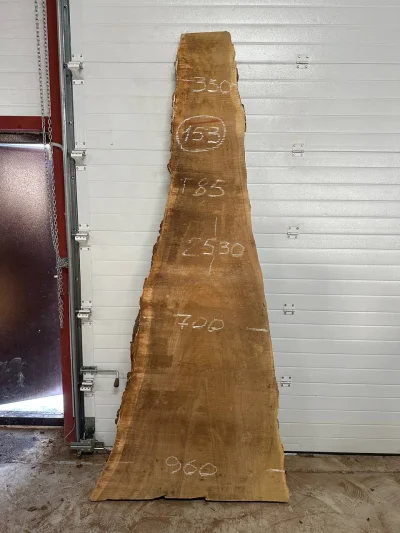 Слэб карагач