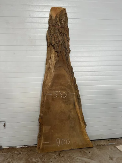 Слэб карагач