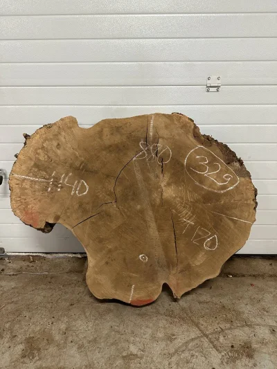 Спил карагача 