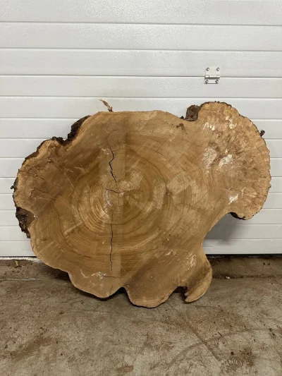 Спил карагача 