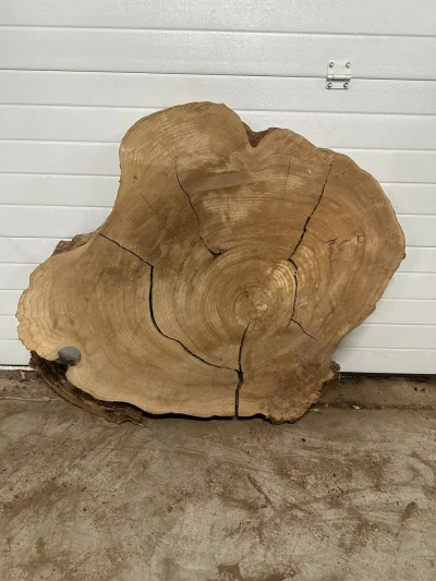 Спил карагача