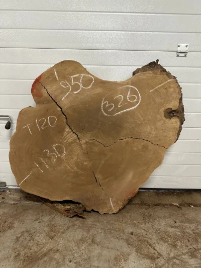 Спил карагача