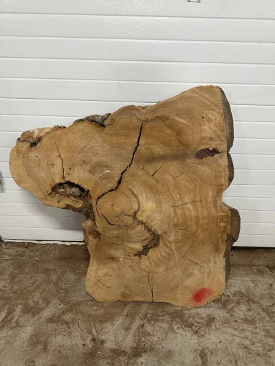 Спил карагача