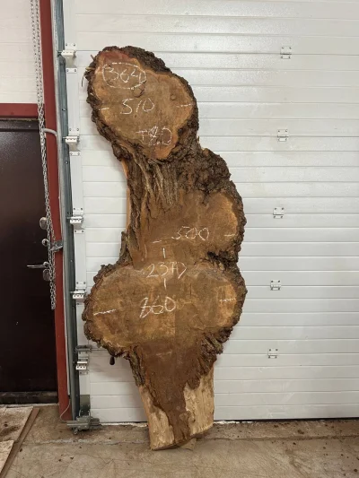 Слэб карагач