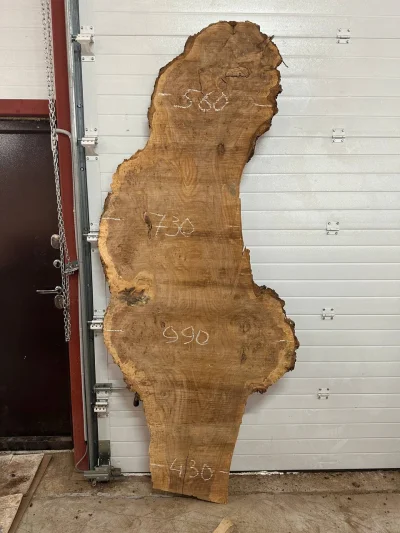 Слэб карагач