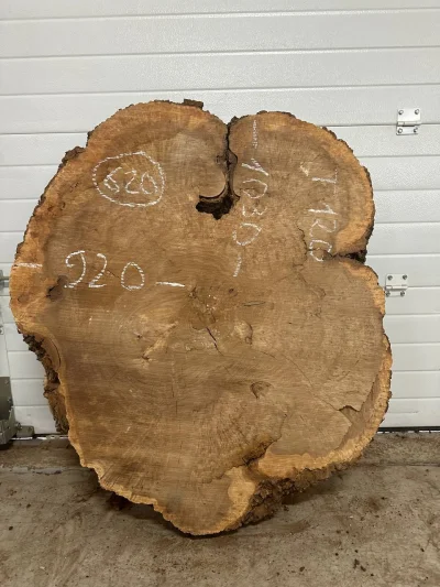 Спил карагача