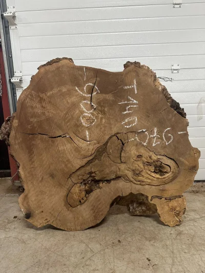 Спил карагача