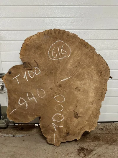 Спил карагача