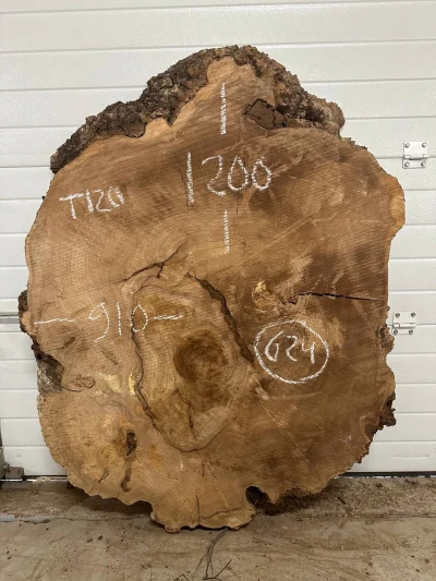 Спил карагача