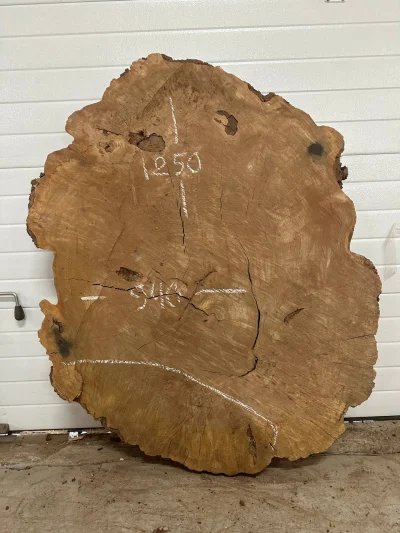 Спил карагача