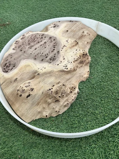 Слэб карагач