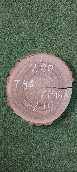 Спил карагача