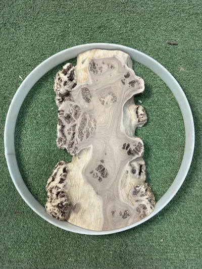 Слэб карагач 