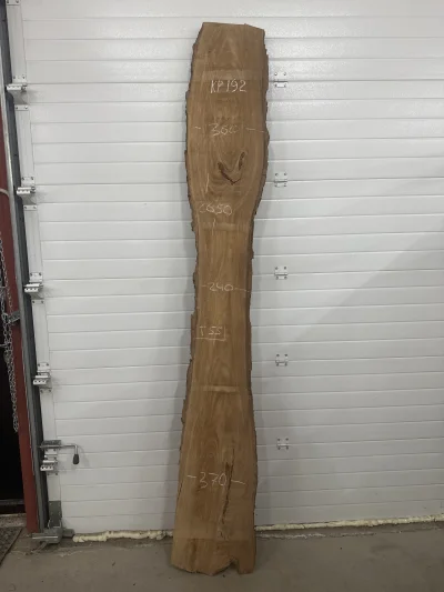 Слэб карагач