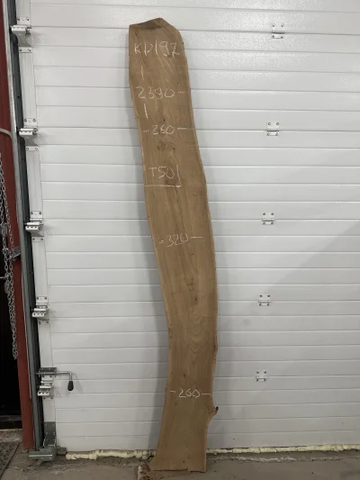 Слэб карагач