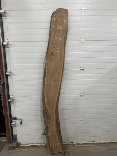 Слэб карагач