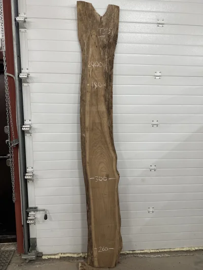 Слэб карагач