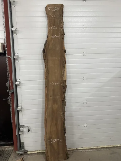 Слэб карагач