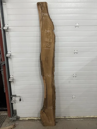 Слэб карагач