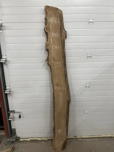 Слэб карагач