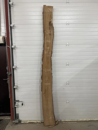 Слэб карагач