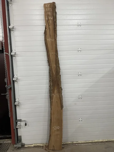 Слэб карагач