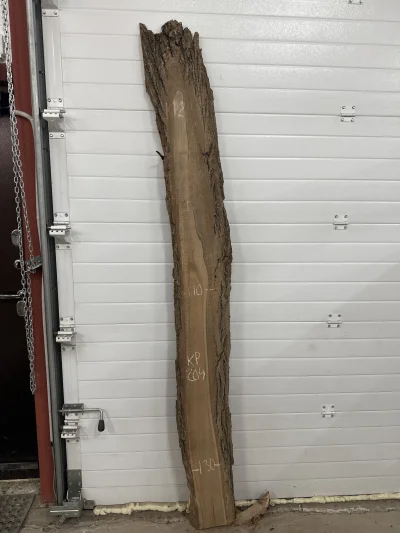 Слэб карагач