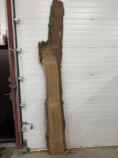 Слэб карагач