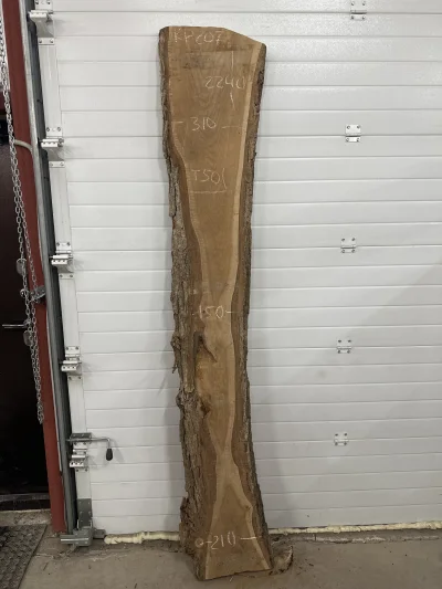 Слэб карагач