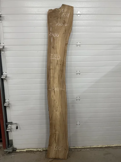 Слэб карагач