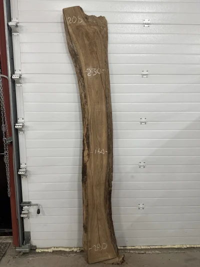 Слэб карагач