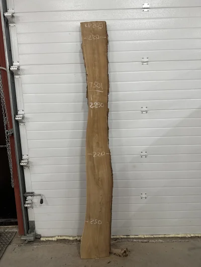 Слэб карагач