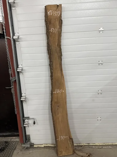 Слэб карагач