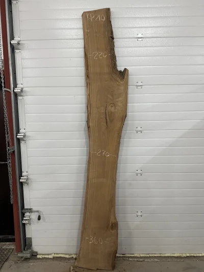 Слэб карагач