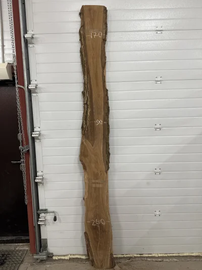 Слэб карагач