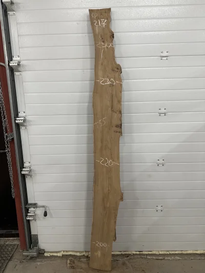 Слэб карагач