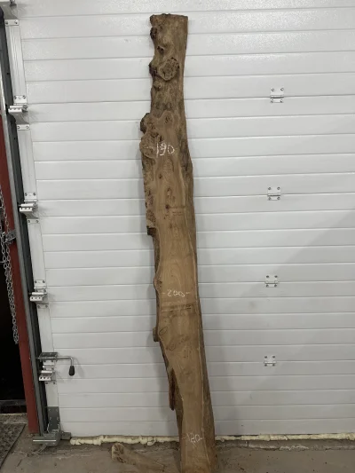 Слэб карагач